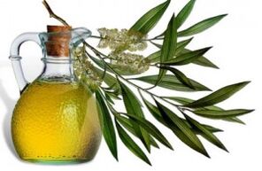 Essential tea oil