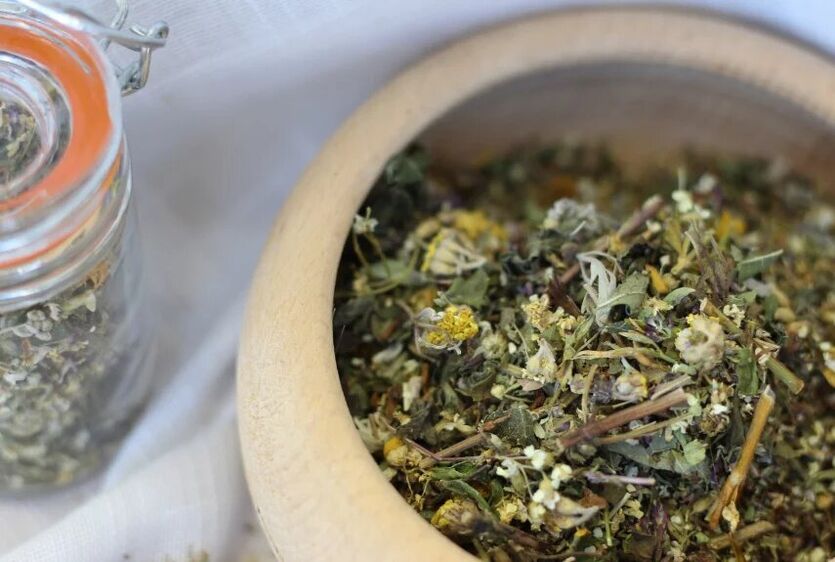 medicinal herbs for the treatment of fungi